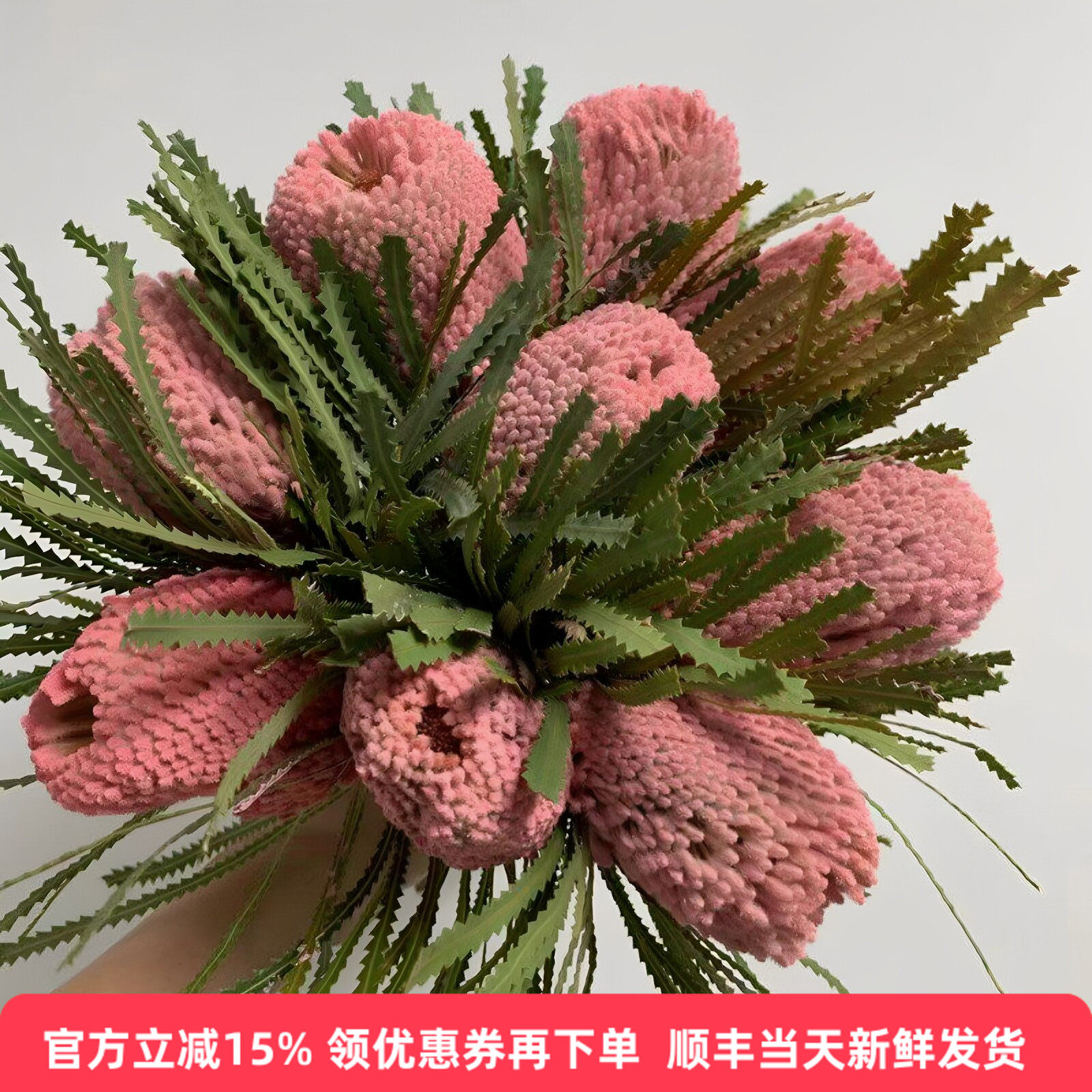 班克木佛塔花长期南非进口干花永生花插花家装饰北京同城鲜花速递