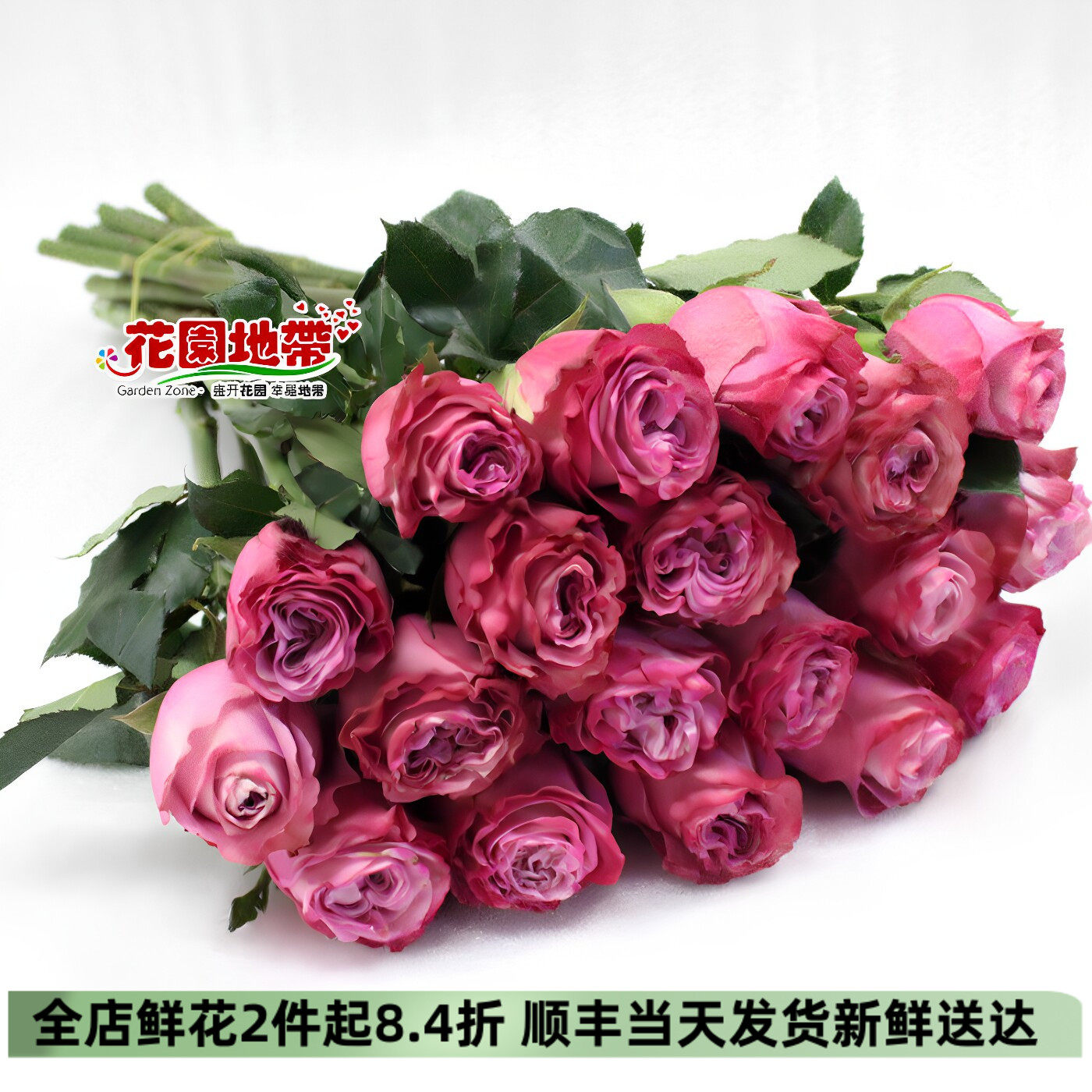 云南昆明花卉紫色爱情婚礼玫瑰