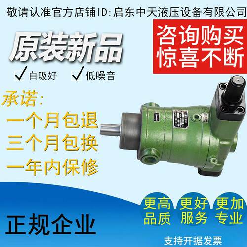泵100ycy启东柱塞油泵