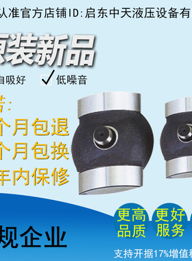 HY10/16/25/40/63/80/100/107/125/160/180/250M/S/Y-RP变量头