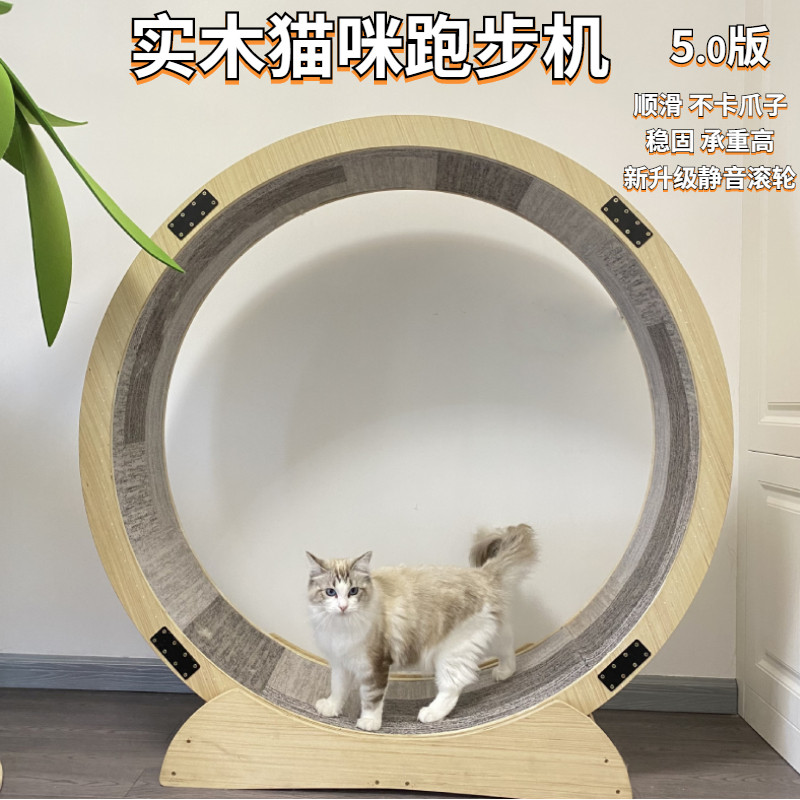 宠物猫咪滚轮跑步机全实木多层板玩具减肥运动猫爬架静音跑步机