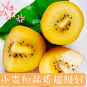 精品金果黄心猕猴桃奇异果现摘现发坏果包赔