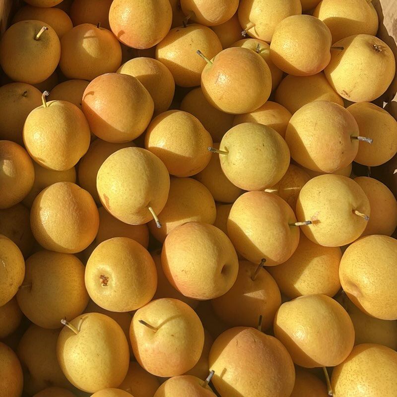 东北南果梨香水梨新鲜冻梨孕妇水果收到放黄放软更好,水产肉类/新鲜蔬果/熟食,梨,淘宝优惠券,粉丝福利购,淘宝优惠卷