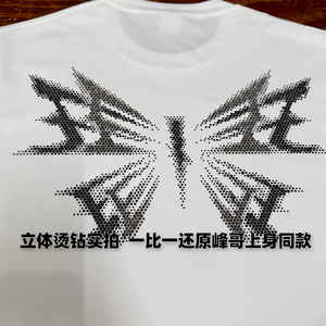 锋哥南京北京演唱会Evolution字母玉蝴蝶同款短袖t恤反光