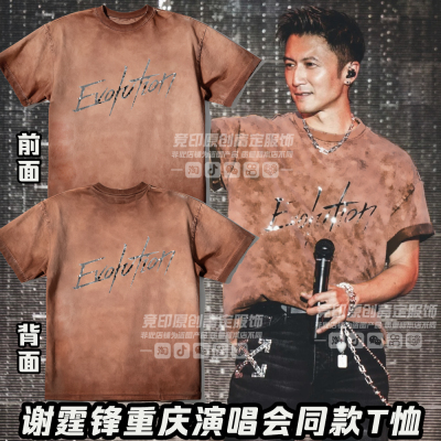 2025谢霆锋重庆演唱会咖色短袖t恤同款做旧应援Evolution进化反光