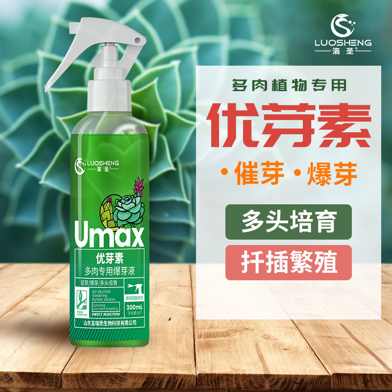 吉尔洛圣多肉专用优芽素植物爆侧芽分裂素促芽促生长素爆芽