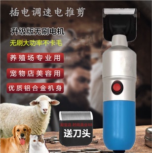 大功率无刷宠物电推子狗狗剃毛器大型犬巨贵剃绵羊用绒山羊电推剪