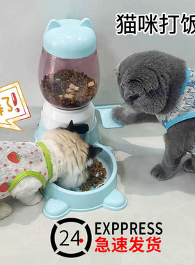 猫咪狗狗自动喂食器投食机