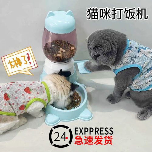 猫咪狗狗自动喂食器投食机