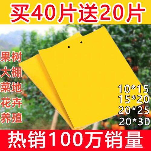 双面粘虫板大棚果树瓜菜园黄板沾小黑飞防虫贴纸蓟马蓝板诱虫板