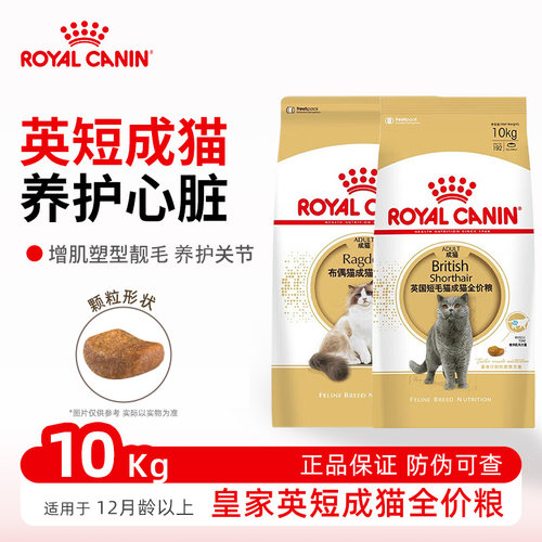 皇家猫粮英短BS34波斯布偶成幼猫