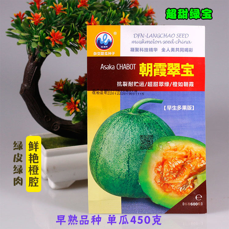 高产甜瓜浪潮翡翠种子高产甜瓜
