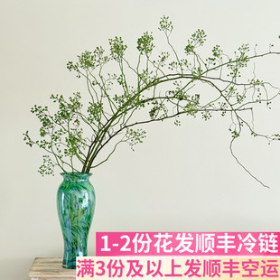 山归来鲜切枝客厅阳台野趣室内斗南基地直发昆明花卉市场真花小众