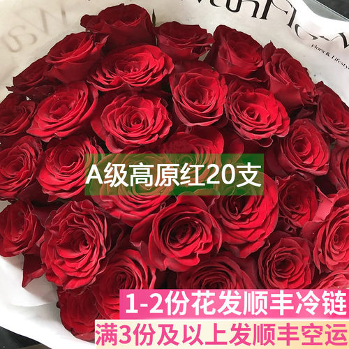 A级高原红玫瑰花基地直发