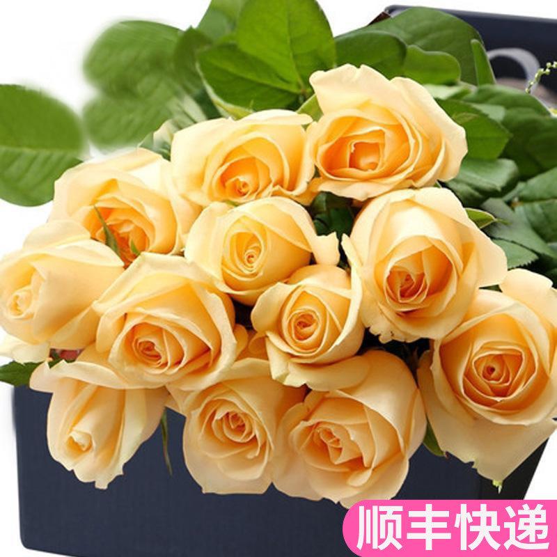 香槟色玫瑰花鲜花基地直发