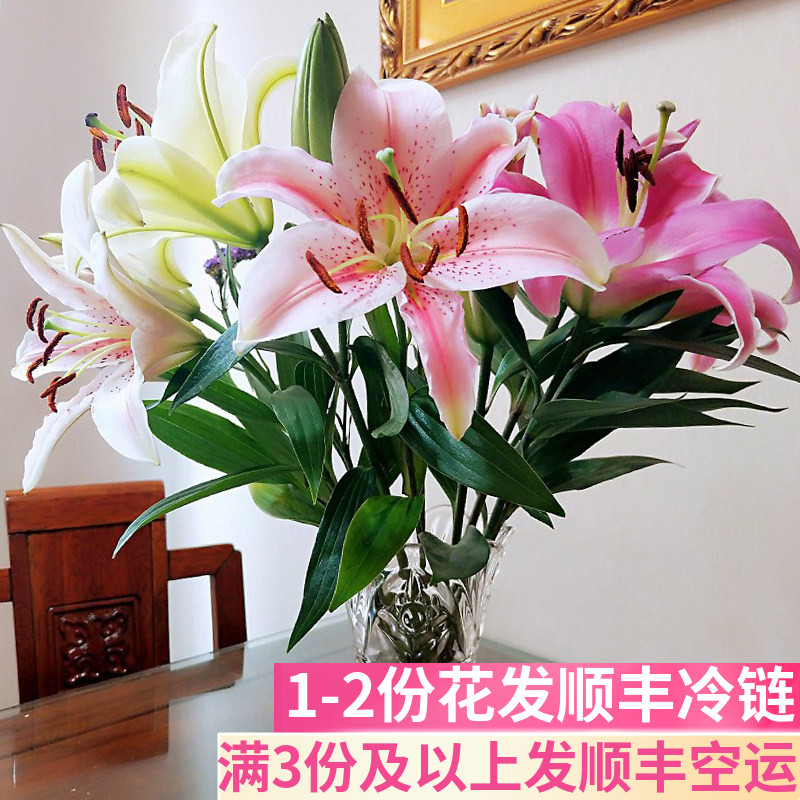 百合花家用水养新鲜基地直发