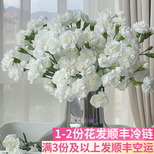 白色白茉莉多头康乃馨纯洁白婚庆