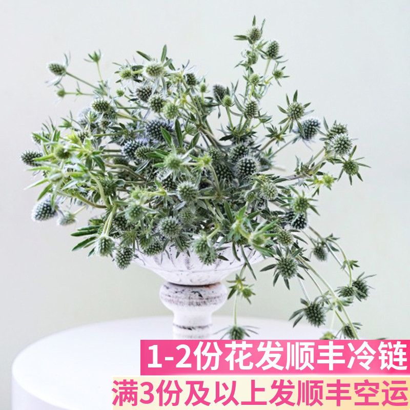 新鲜情人果鲜花可做干花