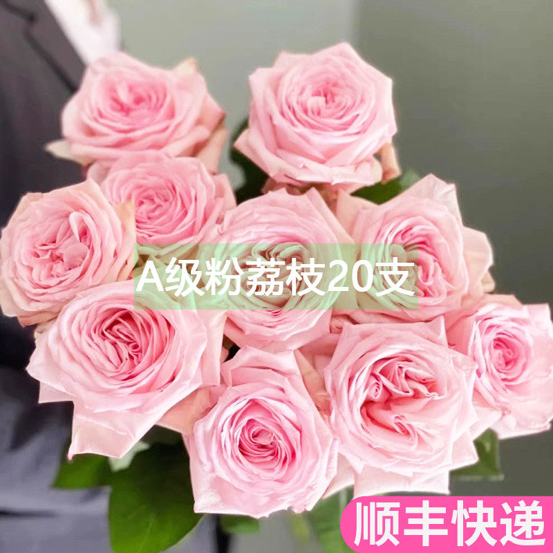 A级粉荔枝玫瑰花云南斗南鲜花基地直发昆明花卉市场批鲜切花发真