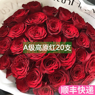 A级高原红玫瑰花斗南鲜花基地直发昆明花卉市场批鲜切花发红玫瑰