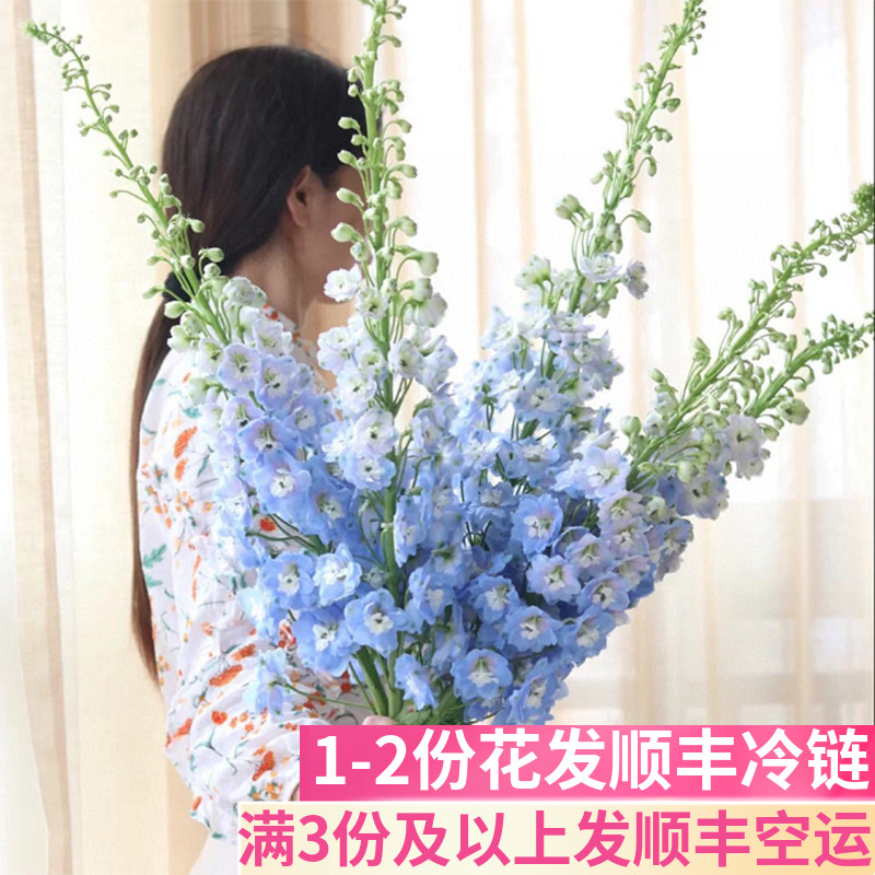 大飞燕客厅插花鲜花基地直发
