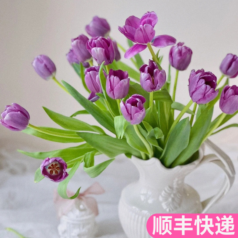 新鲜郁金香鲜切花云南基地直发