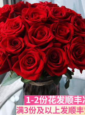卡罗拉红玫瑰鲜花婚庆婚礼适用