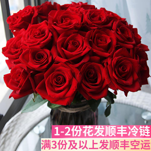 卡罗拉红玫瑰鲜花婚庆婚礼适用