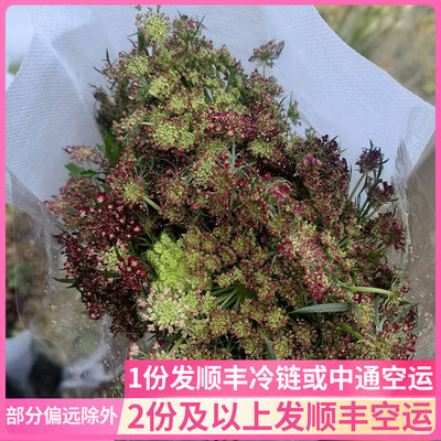 咖啡色蕾丝配花鲜花基地直发