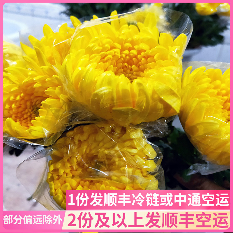 鲜菊花拜祭云南斗南基地直发清明节上坟祭祀扫墓花束黄白批鲜花发 鲜花速递/花卉仿真/绿植园艺 鲜花速递(同城) 原图主图