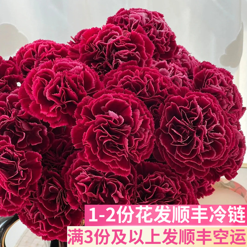 红绸康乃馨鲜花搭配插花
