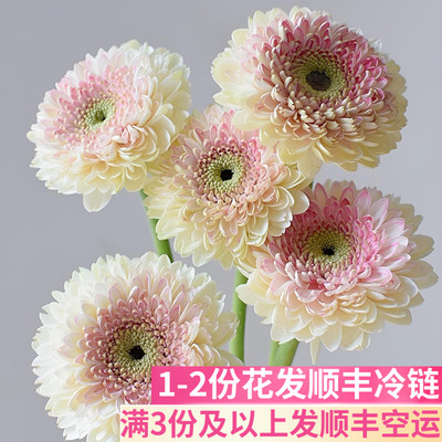 西雅图弗朗商务室内插花基地直发