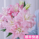 粉蝶戴安娜重瓣百合花多层多瓣斗南鲜花基地直发昆明花卉市场香水