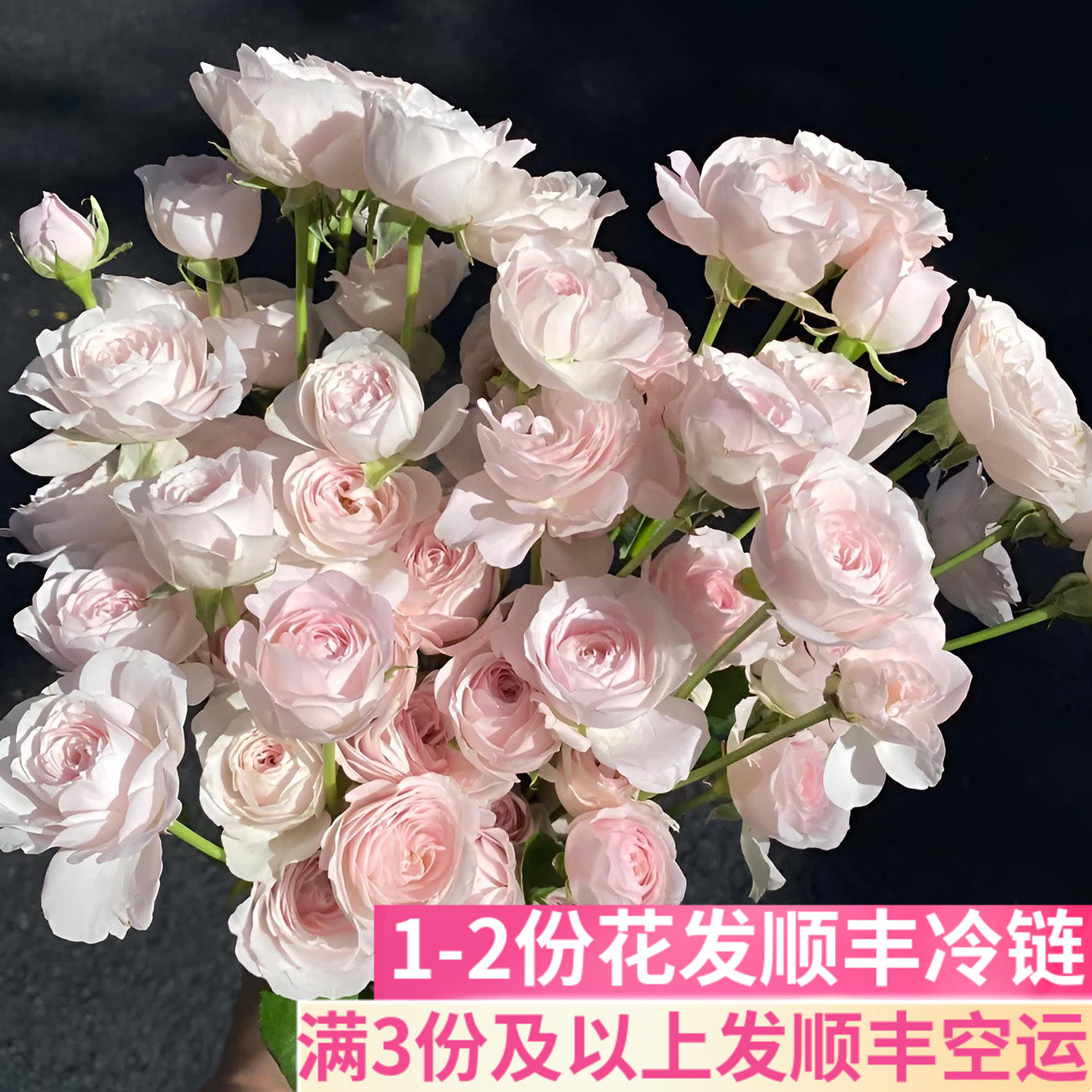 A级仙子之吻多头玫瑰粉泡泡插花