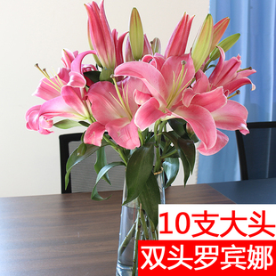 10支双头罗宾娜百合花鲜花花束水养云南基地直发香水玫红色罗宾