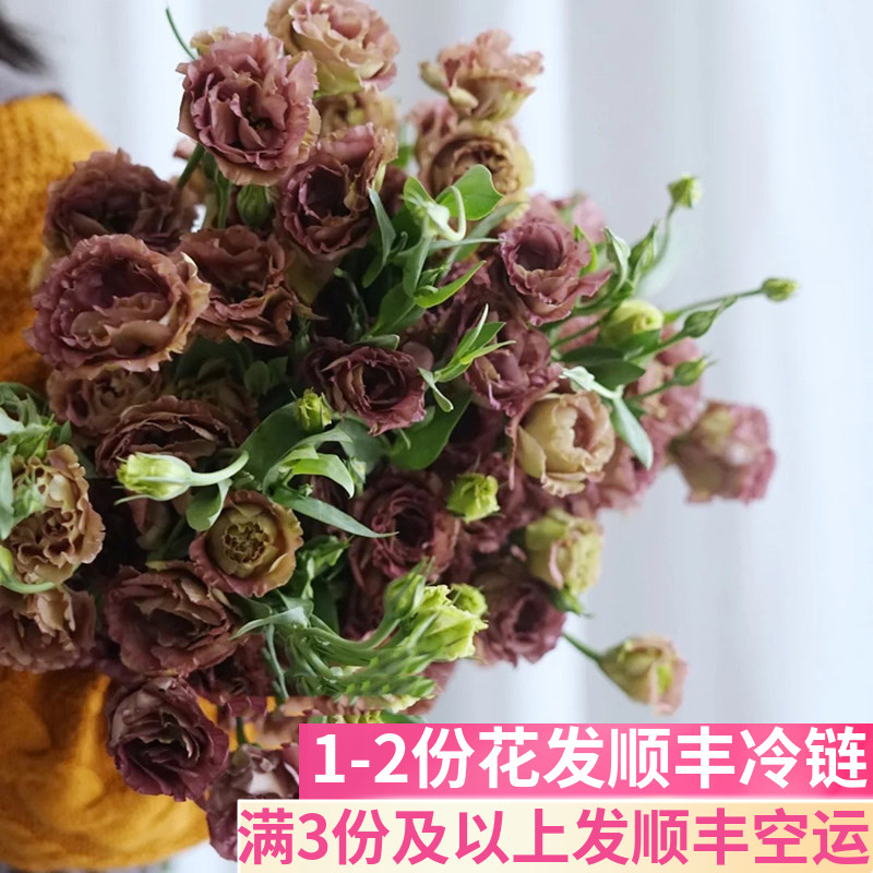 茶色洋桔梗鲜花基地直发