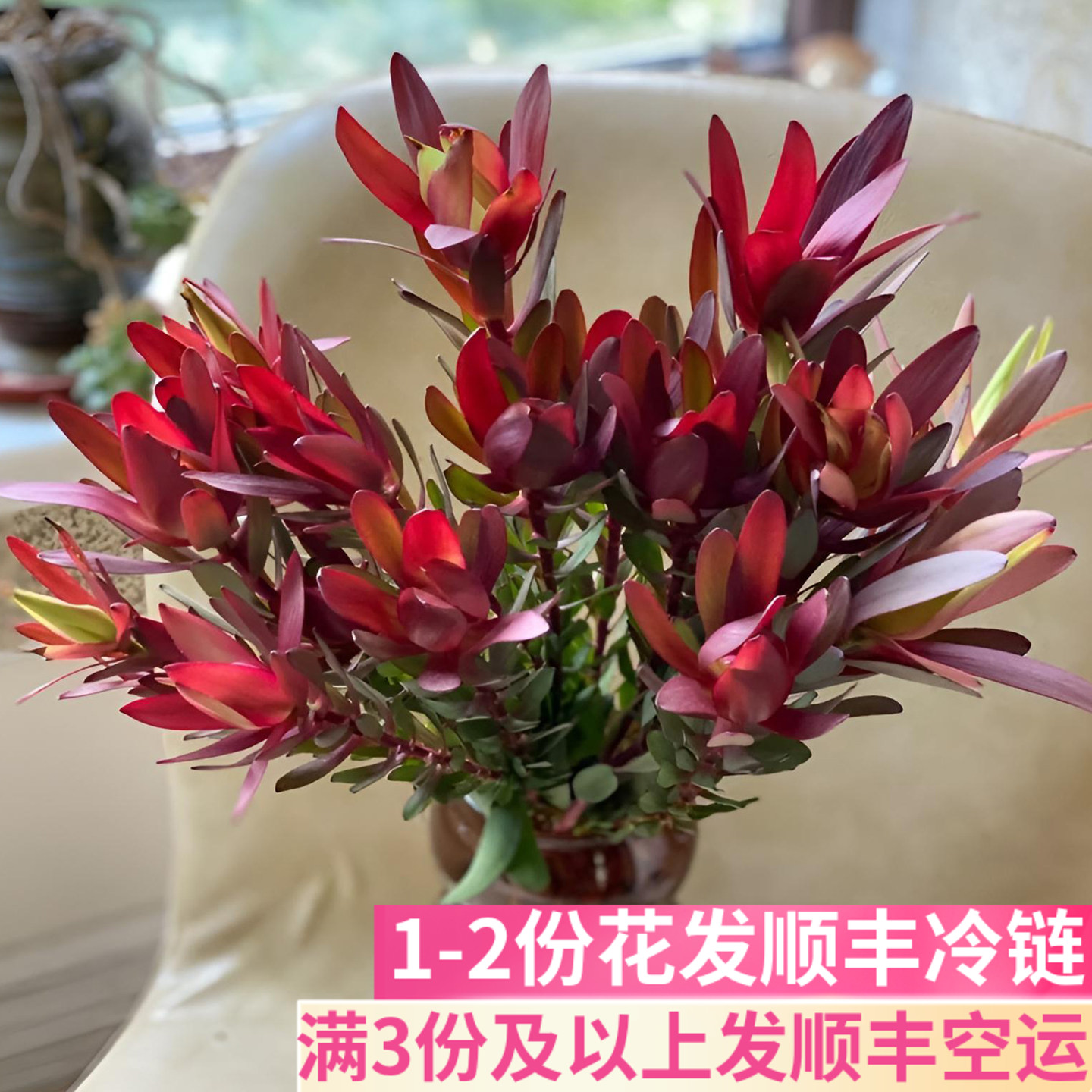 木百合鲜花鲜切花婚礼婚庆