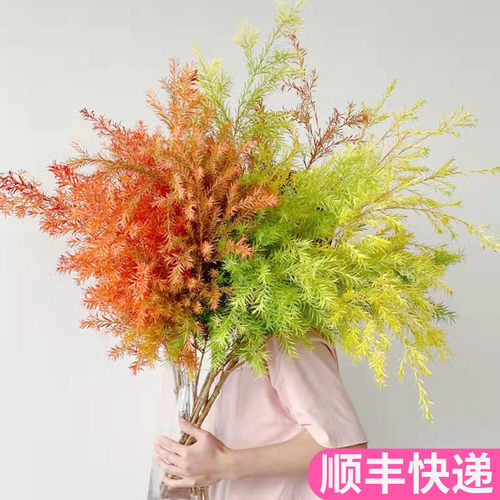 千层金黄金香柳鲜切花