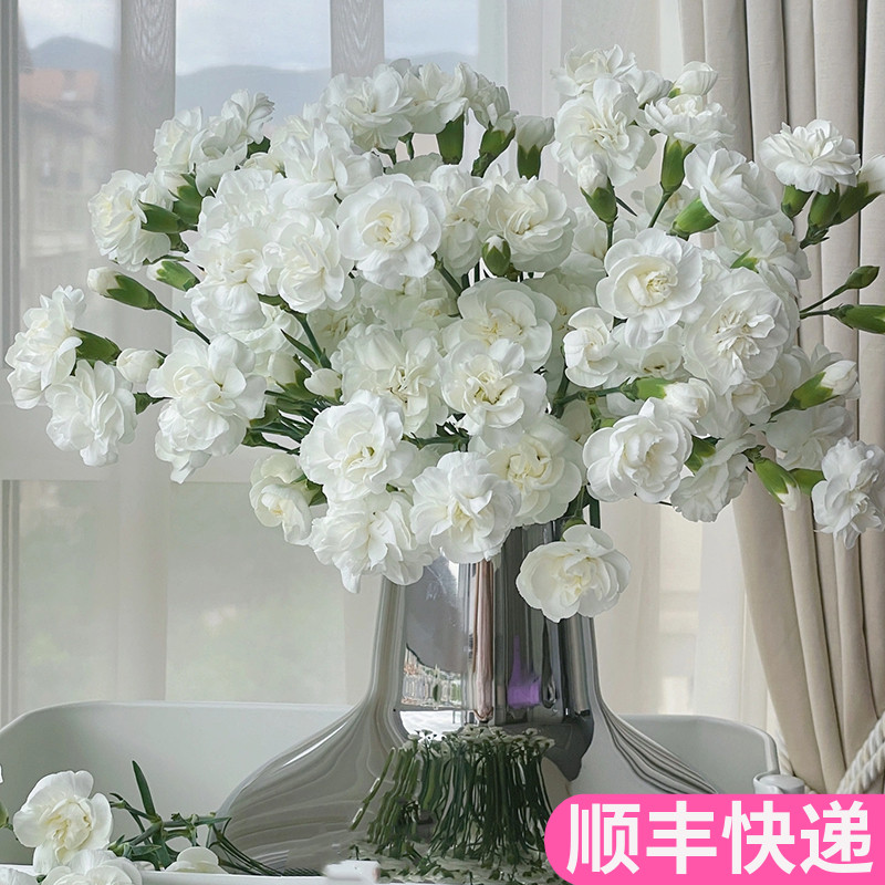 白茉莉多头康乃馨纯洁高贵