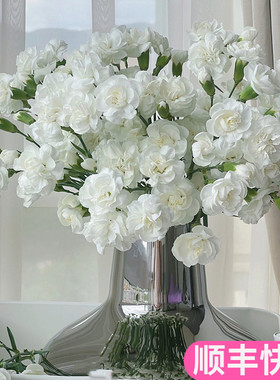 白茉莉多头康乃馨白色斗南鲜花基地直发花卉市场批鲜切发真花多丁