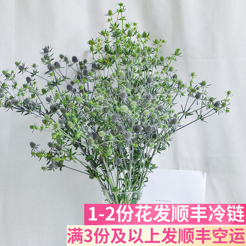 情人果鲜切花鲜花基地直发
