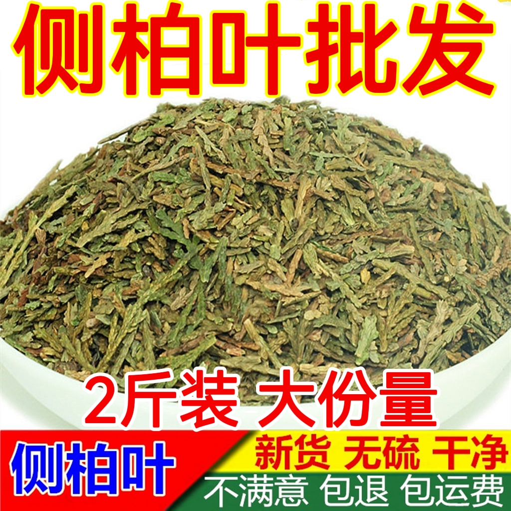中药材侧柏叶1000g克正品野生侧伯叶扁柏叶丛柏叶侧柏叶干 可洗头