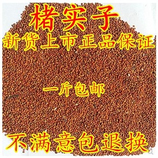 褚实子500克褚实籽楮实子褚实米楮实米楮实楮桃构树果构树子