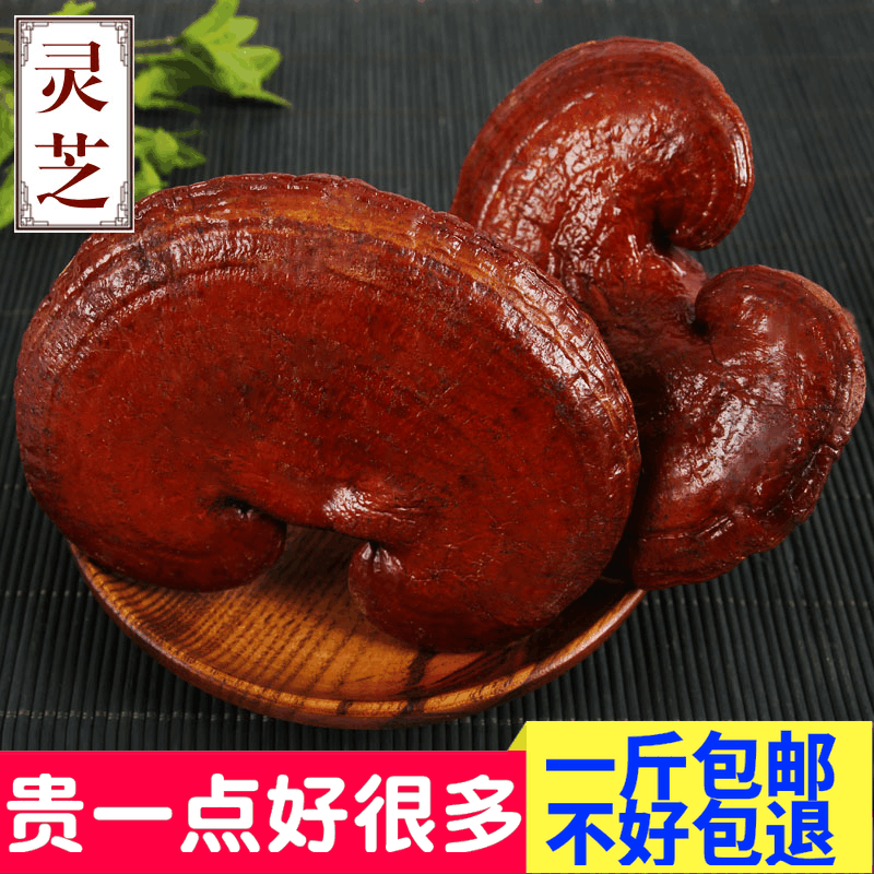 新货长白山紫灵芝半灵芝片林芝特产500克批包邮发灵芝个