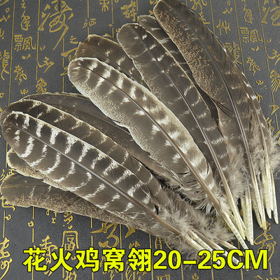 羽毛火鸡毛野鸡鸡羽毛