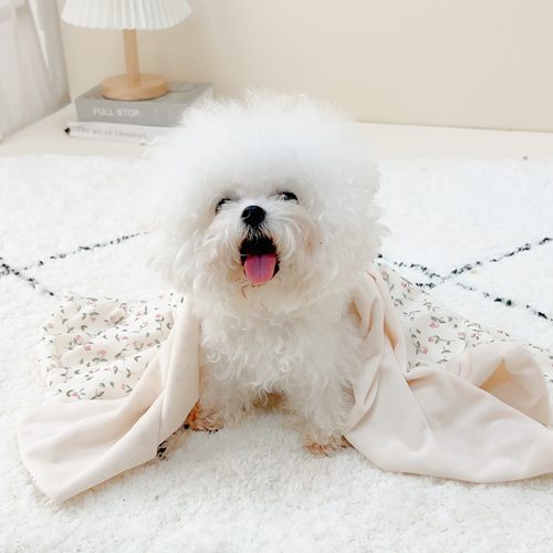 空调毯双面可用a面容b面布logo