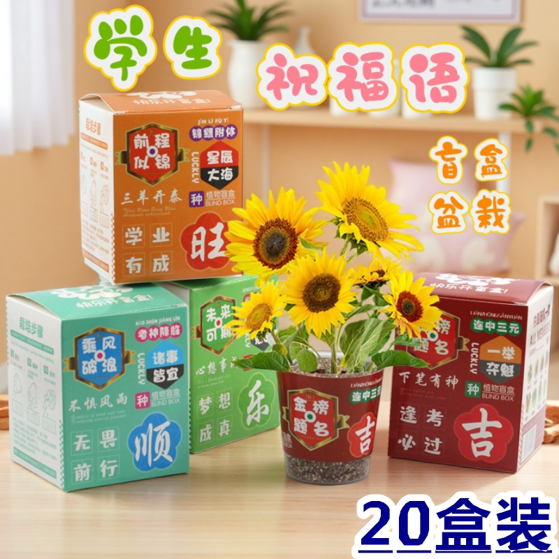 励志盲盒植物盆栽种植种子蔬果花盲盒学生奖品儿童毕业小礼物礼品