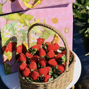 现摘攀枝花露天随珠草莓奶油草莓季新鲜孕妇水果草莓顺丰空运包邮