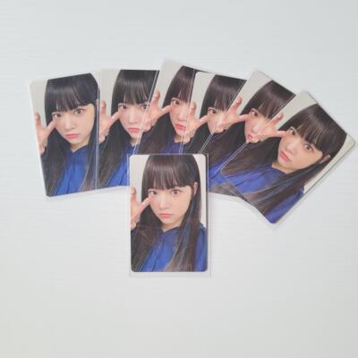 【现货包邮】炽会员礼1.0洪恩採lesserafim猫爪恩eunchae早鸟恩