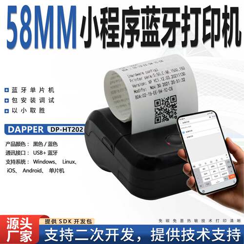 DP-HT202微型蓝牙热敏打印机小程序打印机仪表打印机